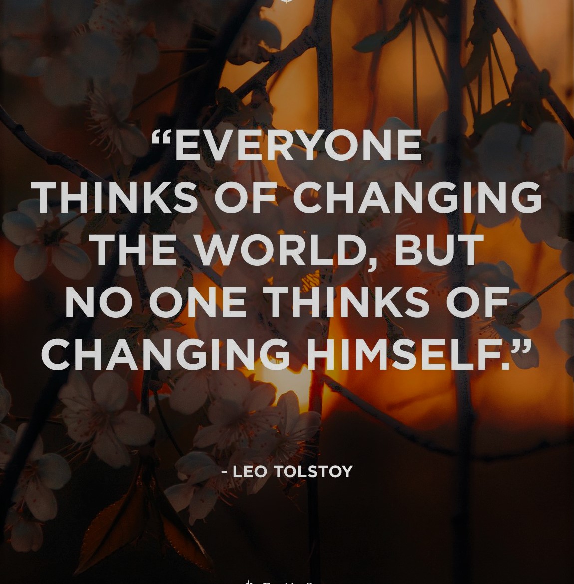 RamNischal's tweet photo. If you truly want to make a change in the world, you have to live a life that is a direct reflection of the way you believe things should be.
Quit looking for someone else to come along and fix all the chaos, hate, and division we see in the world today.  
📷 📷 📷📷📷 📷 📷 https://t.co/ceWnSyaSrr