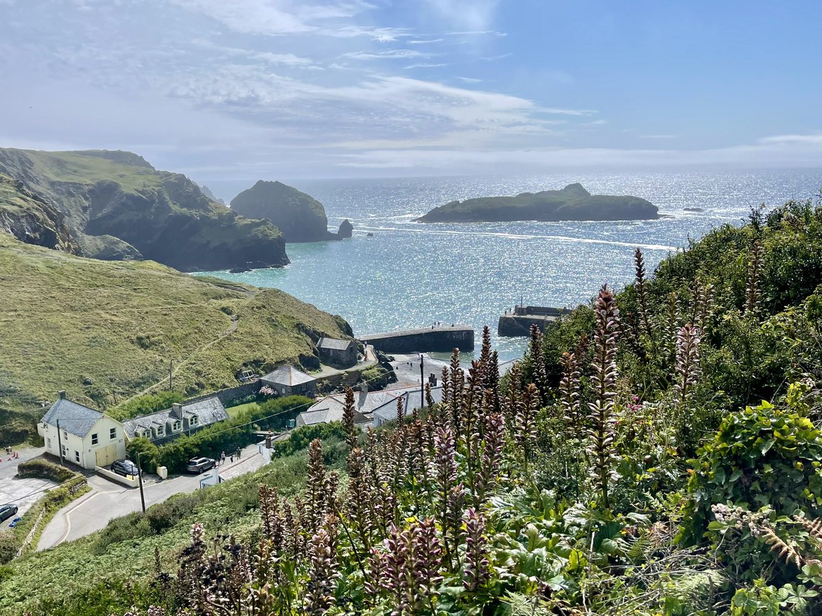 downthecove's tweet photo. The best part of the day π
A few pics along the cliff path from Mullion Cove to Polurrian π
.
#mullioncove #cornwall #polurrian #mullion #cliffpath #swcoastpath #swcoast #coast #sea #bluesky #cliffs #beach https://t.co/RkUYkM2e4e