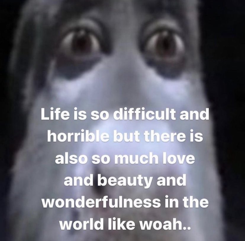 eat soup tweet media