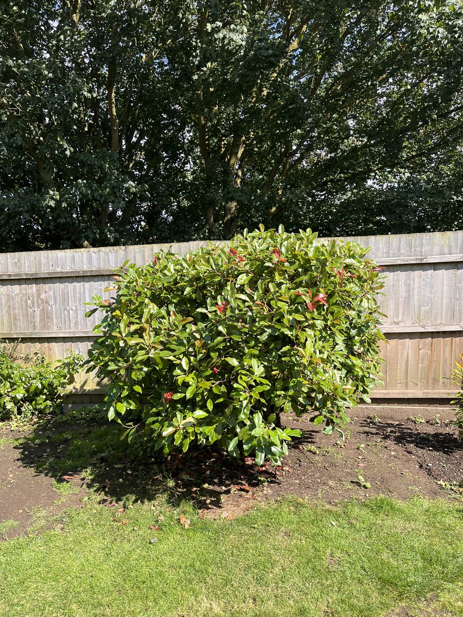DH_Maintenance's tweet photo. As #greavsie would say it was a #funnyoldday - #rain #sunshine #wind & #humid 🙈 dodging the #rain it was a #tidying #weeding & #cutting back day 👍 & got lots done 🙂 have a great evening everyone ❤️ https://t.co/dwdQ27ViJU