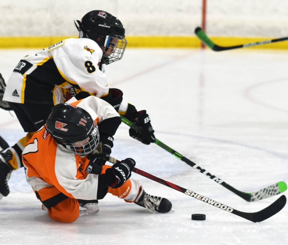 Amalgamation only answer to retain minor hockey in WOAA, report says, and Mitchell minor hockey want your feedback
tinyurl.com/bddkrxzd