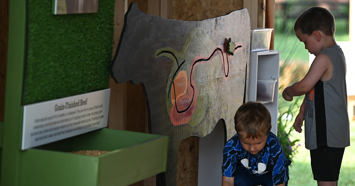 OHIOBEEF's tweet photo. Because they are ruminants, cattle can eat grasses that humans cannot and convert them into high-quality beef!
Learn more Fun Beef Facts at the @OhioStateFair in the Little Farmers Beef Barn.
#ohiostatefair #ohiobeef #beeffacts https://t.co/KtO3vYBBqy