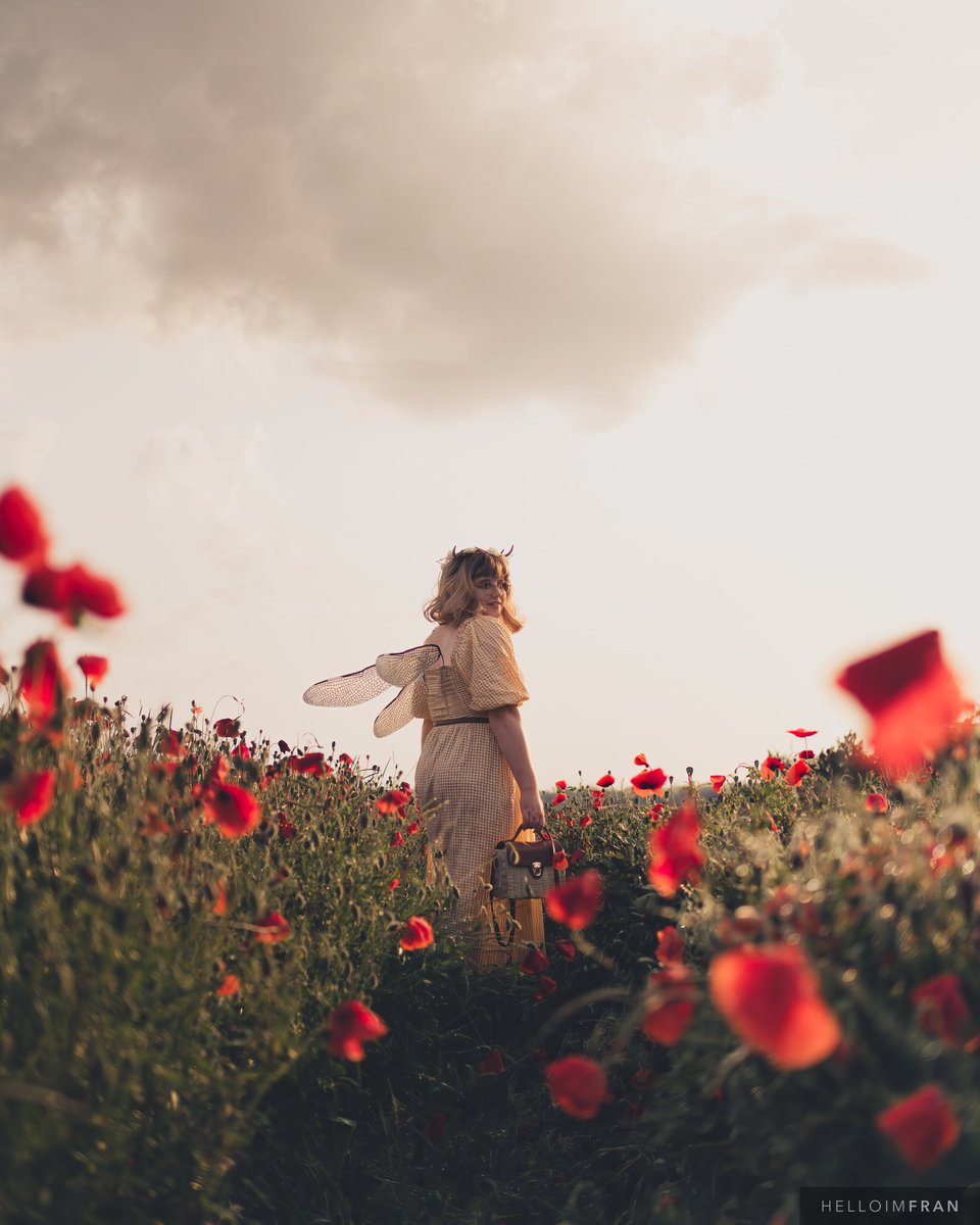 Where the wild things are ✨️
Dragonfly Fae: @Crooky_Creative
Photography: @helloimfran
Wings: ohmyfairy (etsy)
#poppyfairy #dragonflyfairy #dragonfae #dragonfly #fairyoc #fairyphotoshoot #fairie #faeriecore #cicelymarybarker #poppyfields #poppyfieldphotoshoot