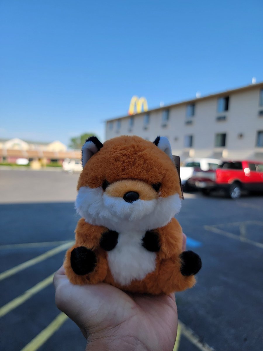 jrzy_'s tweet photo. Little dude https://t.co/lO7kThBK3X