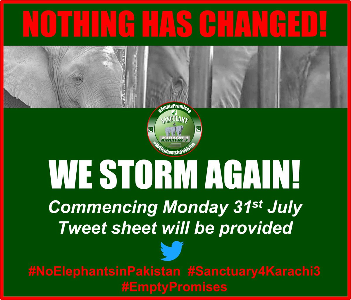 If you want to make a difference for these 3🐘 then please join the #TweetStorm 

Monday 31st July 2023 
Get active 
Get caring 
Get them out of 🇵🇰🇵🇰🇵🇰🇵🇰🇵🇰
#NothingHasChanged
#EmptyPromises