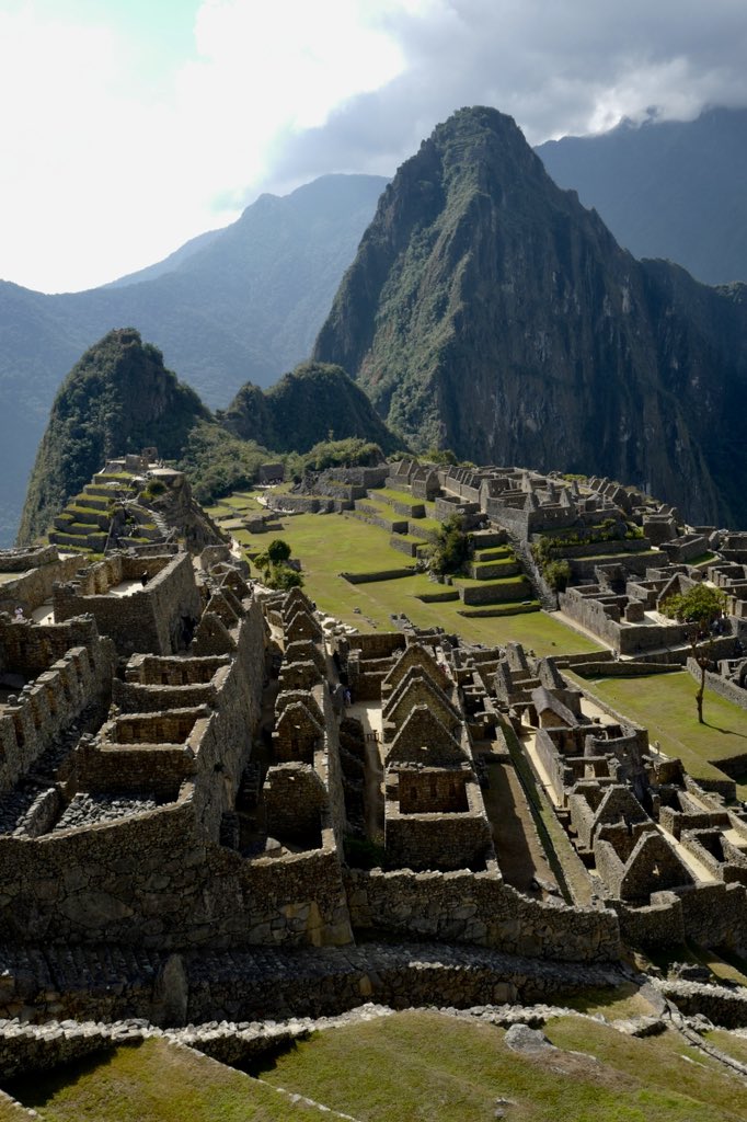 Ardem Patapoutian tweet media