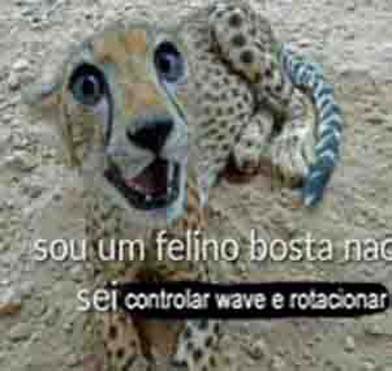 League Of Legends De Oliveira "LOL ENGRaÇADA" Jr😁 (@lol_engracada) on Twitter photo 