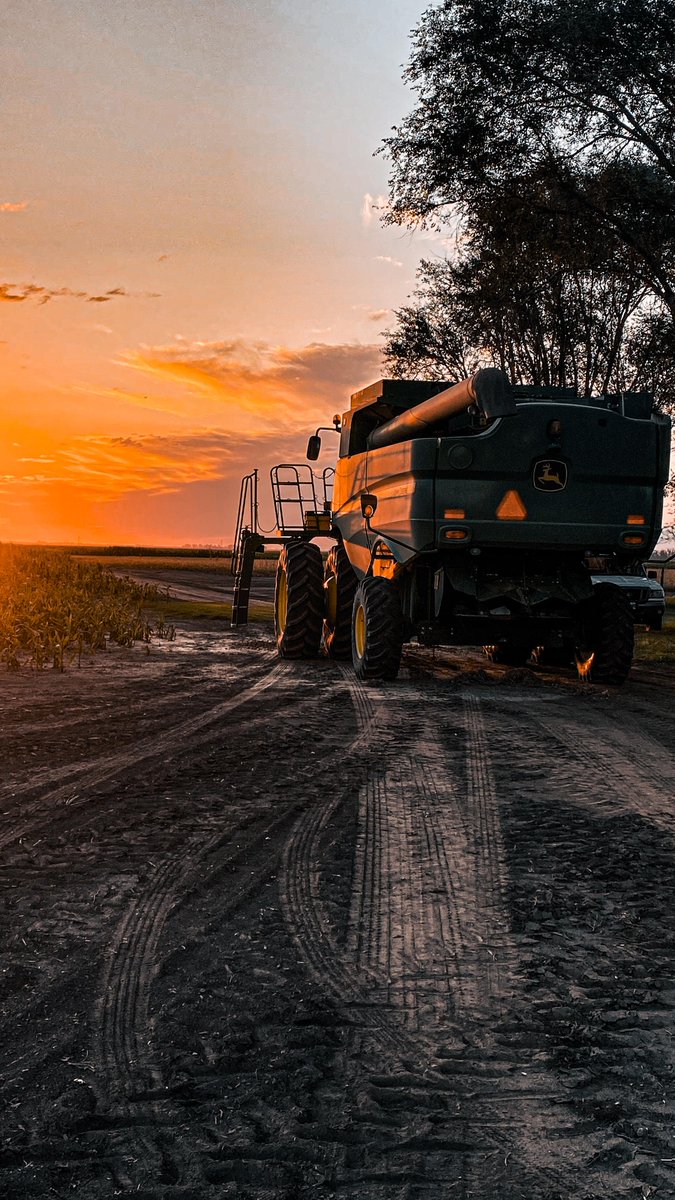 JohnDeere's tweet photo. Golden hour

📸 : Martin B https://t.co/I3w8BN8sC1