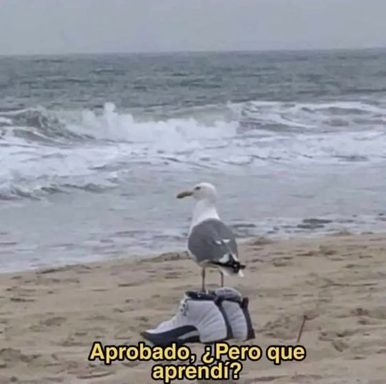 yo en la uni: