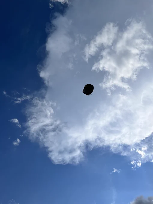夏 