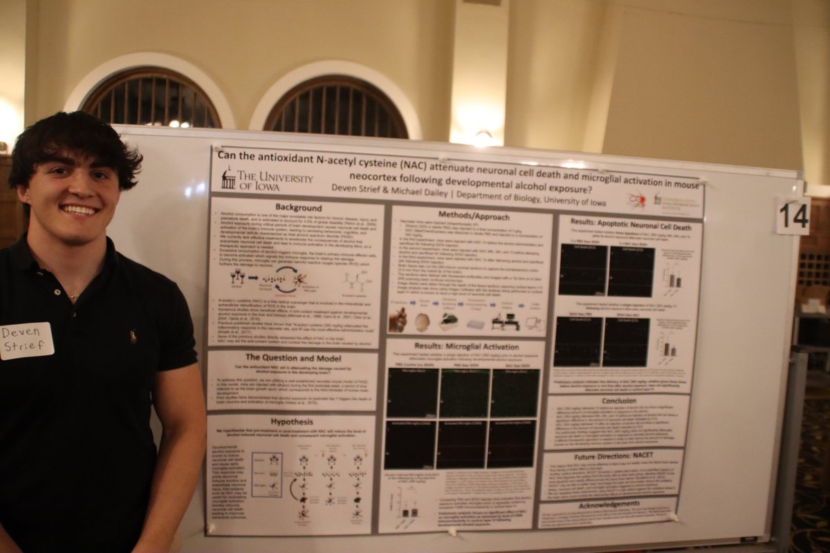 uiowabiology tweet media