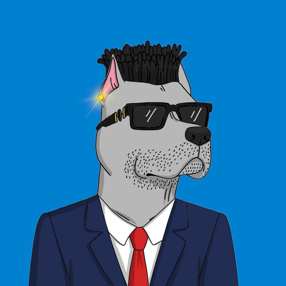 Qhu_NFT's tweet photo. Finally got myself into @GutterCatGang with this beautiful #GutterDog. Love to follow the community and see what its all about. Will follow those that follow me. I am in real estate and this one spoke to me 🤣 https://t.co/5kOMWnMpFB