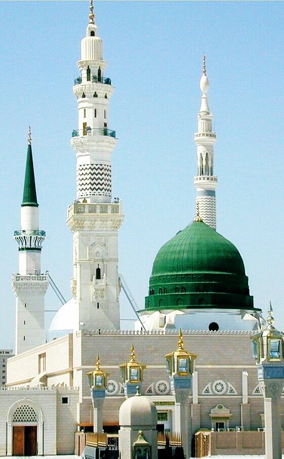 حافظ حامد احمد tweet media