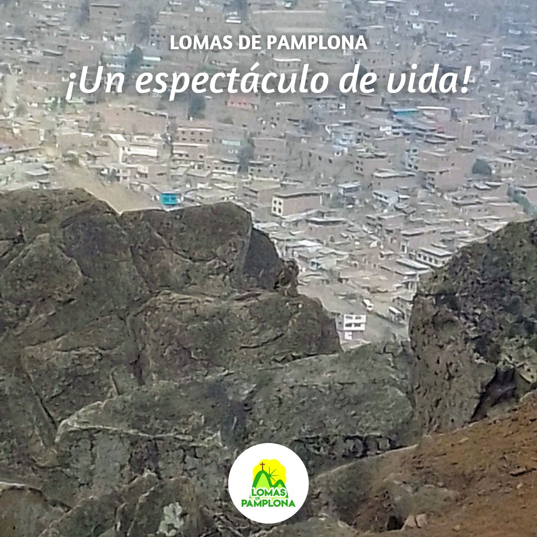 La fauna también dice PRESENTE en las #LomasDePamplona. 

Miren quién quién se dejó ver. 🦉

L@s esperamos ESTE SÁBADO en una nueva #AventuraLomera.

Informes e inscripciones: 984842534 (WhatsApp) 📲