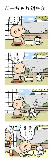 じ～ちゃん対タマ#こんなん描いてます #自作まんが #漫画 #猫まんが #4コママンガ #NEKO3 