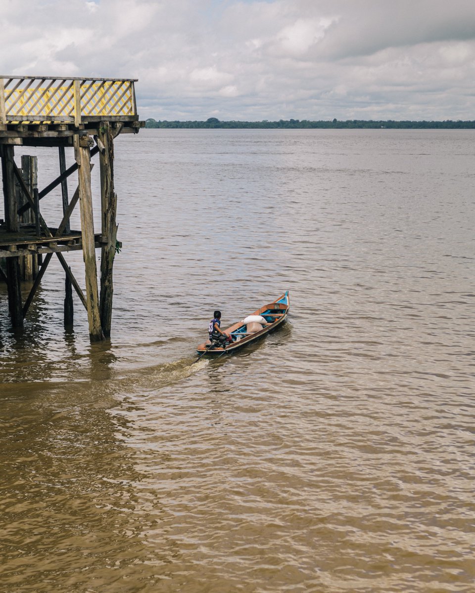 alerprensa's tweet photo. #VocesdelaPanamazonía | Titulares
🍃 #Bolivia: El Territorio Indígena Multiétnico se convierte en el primer Gobierno autónomo Indígena de la Amazonía boliviana.
🍃 #Brasil: Belém do Pará se prepara para los diálogos amazónicos.
▶️ https://t.co/XlAlTwRsJa https://t.co/0QLXWAoi98