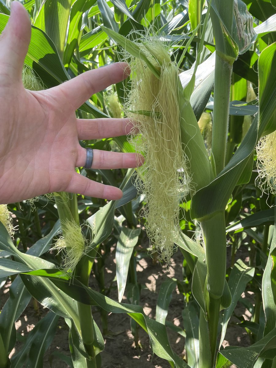 Scott Cressman tweet media