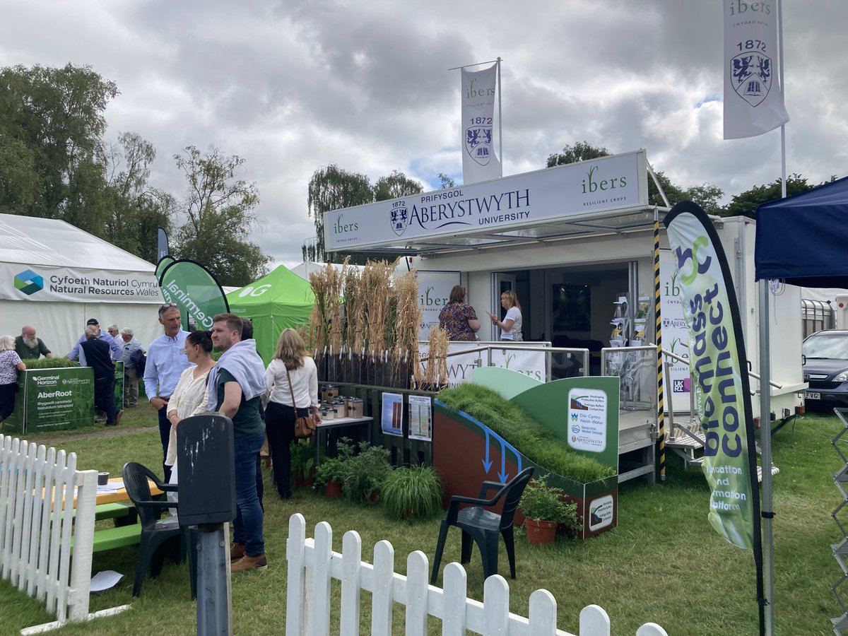 Catherine (@howarthoats) on Twitter photo Final day at the <a href="/ibers_aber/">IBERS - Aber</a> stand at the <a href="/royalwelshshow/">Royal Welsh Agricultural Society</a> and lots of interest in oats and their roots <a href="/OatsHealthy/">Healthy Oats</a> <a href="/SouthernAssembl/">Southern Regional Assembly</a> <a href="/wefowales/">Welsh European Funding Office</a> <a href="/H2020Cropdiva/">CROPDIVA</a> <a href="/AberUni/">Aberystwyth University</a> @IrelandWales Final day at the <a href="/ibers_aber/">IBERS - Aber</a> stand at the <a href="/royalwelshshow/">Royal Welsh Agricultural Society</a> and lots of interest in oats and their roots <a href="/OatsHealthy/">Healthy Oats</a> <a href="/SouthernAssembl/">Southern Regional Assembly</a> <a href="/wefowales/">Welsh European Funding Office</a> <a href="/H2020Cropdiva/">CROPDIVA</a> <a href="/AberUni/">Aberystwyth University</a> @IrelandWales