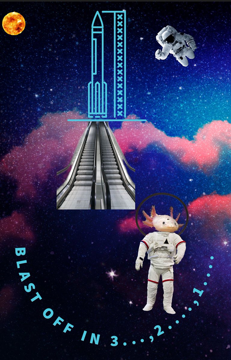 ksuiteach's tweet image. This summer our instructional technology coaches worked with @FultonCoSchools to inspire creativity while using technology. Here are student examples of videos and graphics made in @AdobeExpress on the theme of outer space. #instructionaltechnology #creativity #innovation