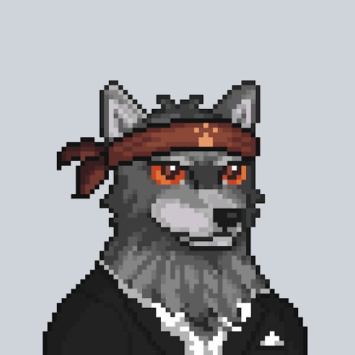 highconviction's tweet photo. Return to Wolf, I have been repeatedly impressed by what this team has been building and the community they are cultivating, striving for the community, thru the bear and tough times, a leader in nftFi in the space.  @WolfCapital_ is killing it. Wolves will Rise https://t.co/cuzi7MEtPk