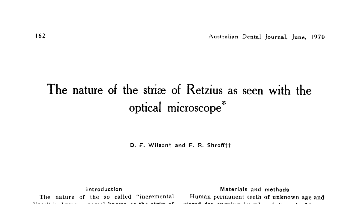 Did you know that 'Wilson's bands', histological markers of slowed enamel formation, were named after an @otago Dental School scientist? Great find @Bones_and_Snow!