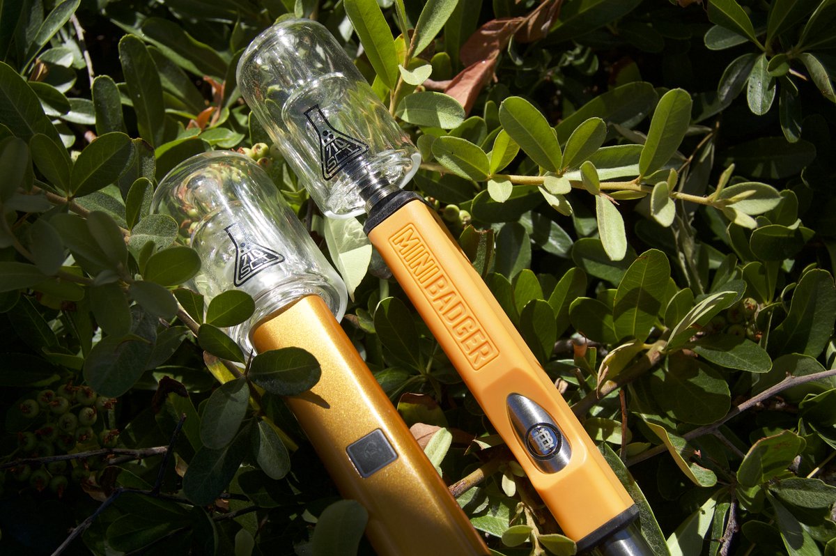 HuniBadgerHQ's tweet photo. Huni Badger X Mini Badger 

#hunibadgereverywhere #portable #dabs #ceramictip #hightemp #nectarcollector #hunibadger #minibadger https://t.co/J3ILWp5opR
