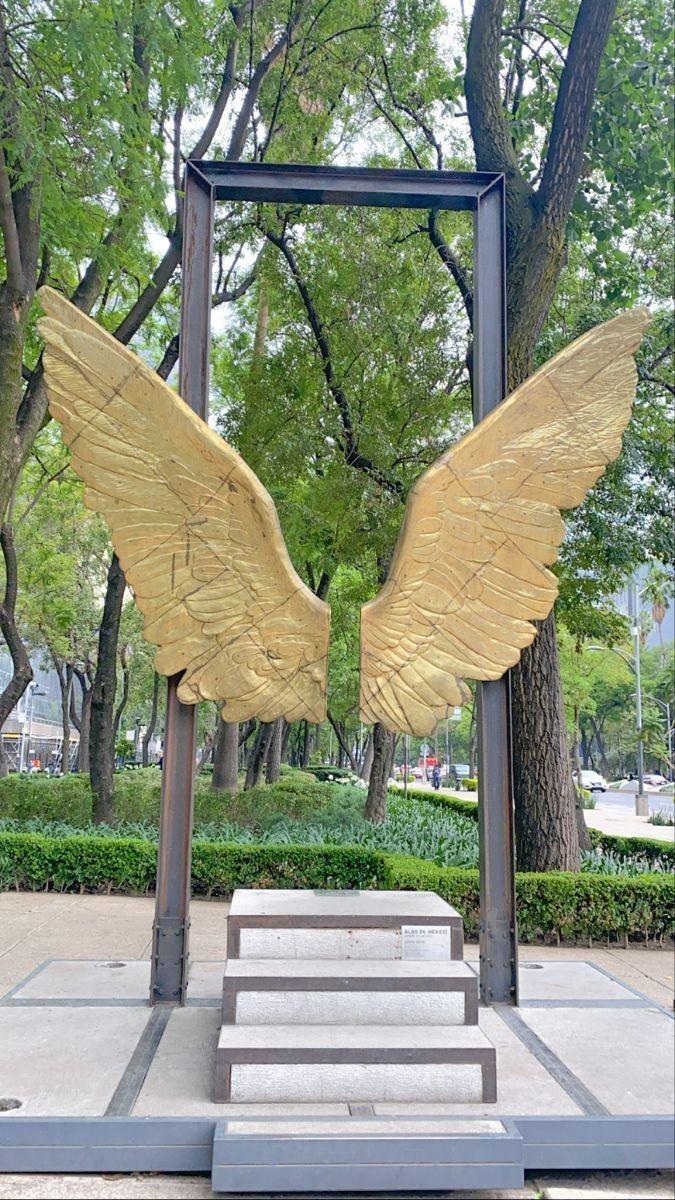 qualitynom1's tweet image. 