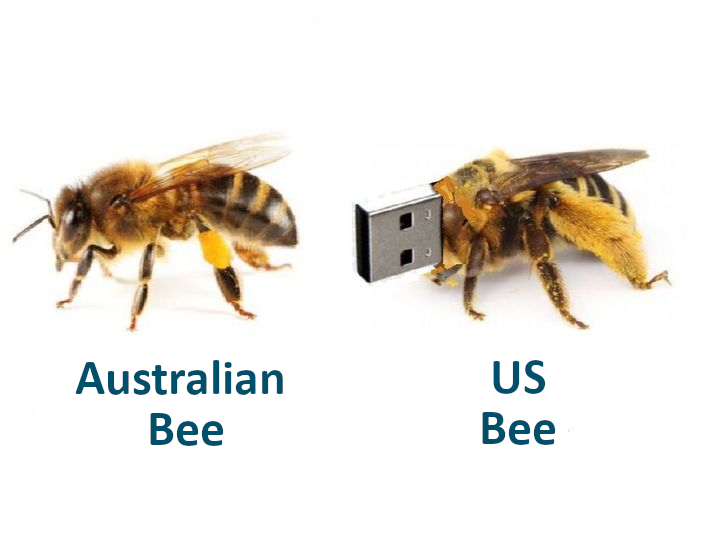 DPComputing's tweet image. Don't worry, bee happy, its #FunnyFriday!