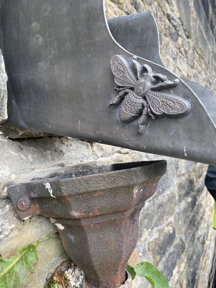 Our major capital restoration works at Towneley Hall allow us the privilege of getting up close to the most amazing architectural details you wouldn’t normally see, including these beautiful rainwater goods, and our 2023 bee addition! 🐝