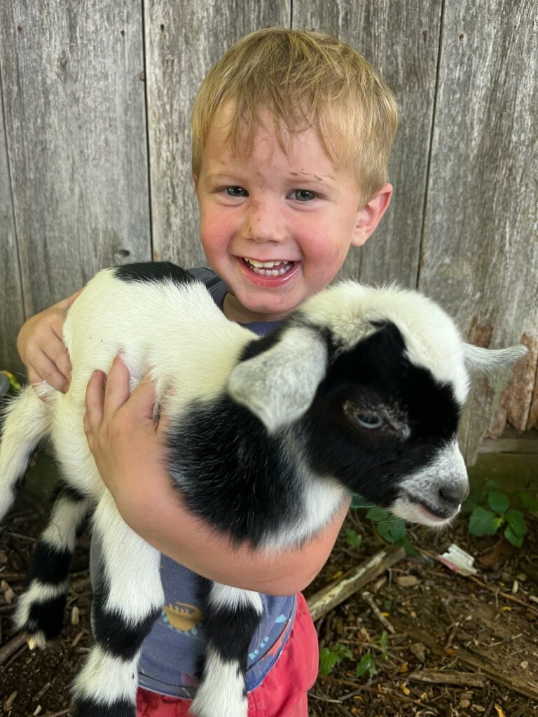 Josiah Young tweet media