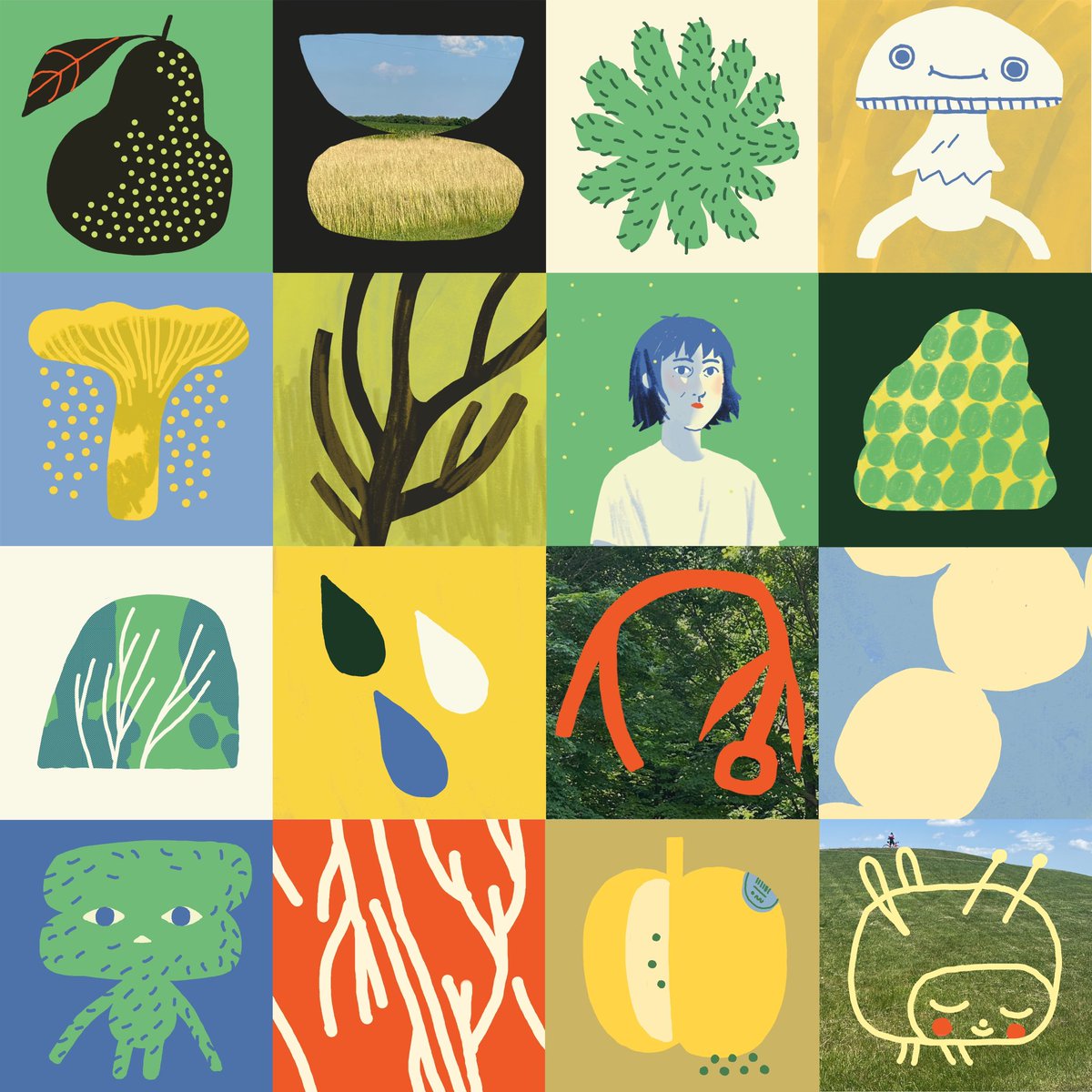 Jamie Green tweet media