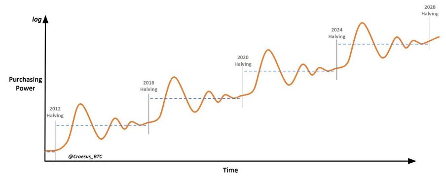 oorCrypto's tweet photo. Zo ging het na de laatste paar "halvings" !!😃 https://t.co/rly7fg7Y3n