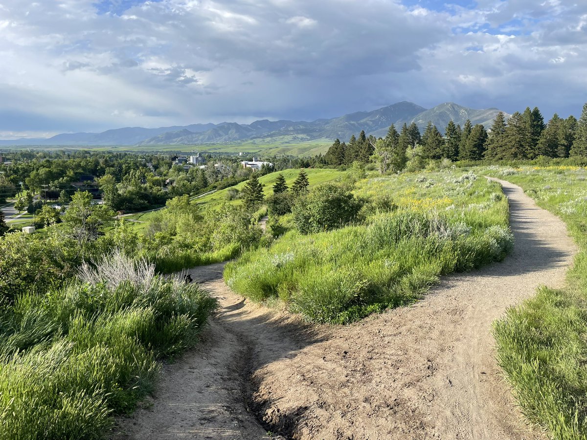 I’m recruiting! Looking for 1-2 MS students to join my lab in the Department of Ecology at Montana State University and work on questions related to conservation and population genomics in birds. Thanks for spreading the word—details here: evol.mcmaster.ca/~brian/evoldir…