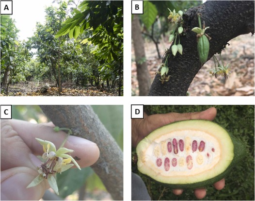 Bea Maas 🐦🦇🌳 tweet media