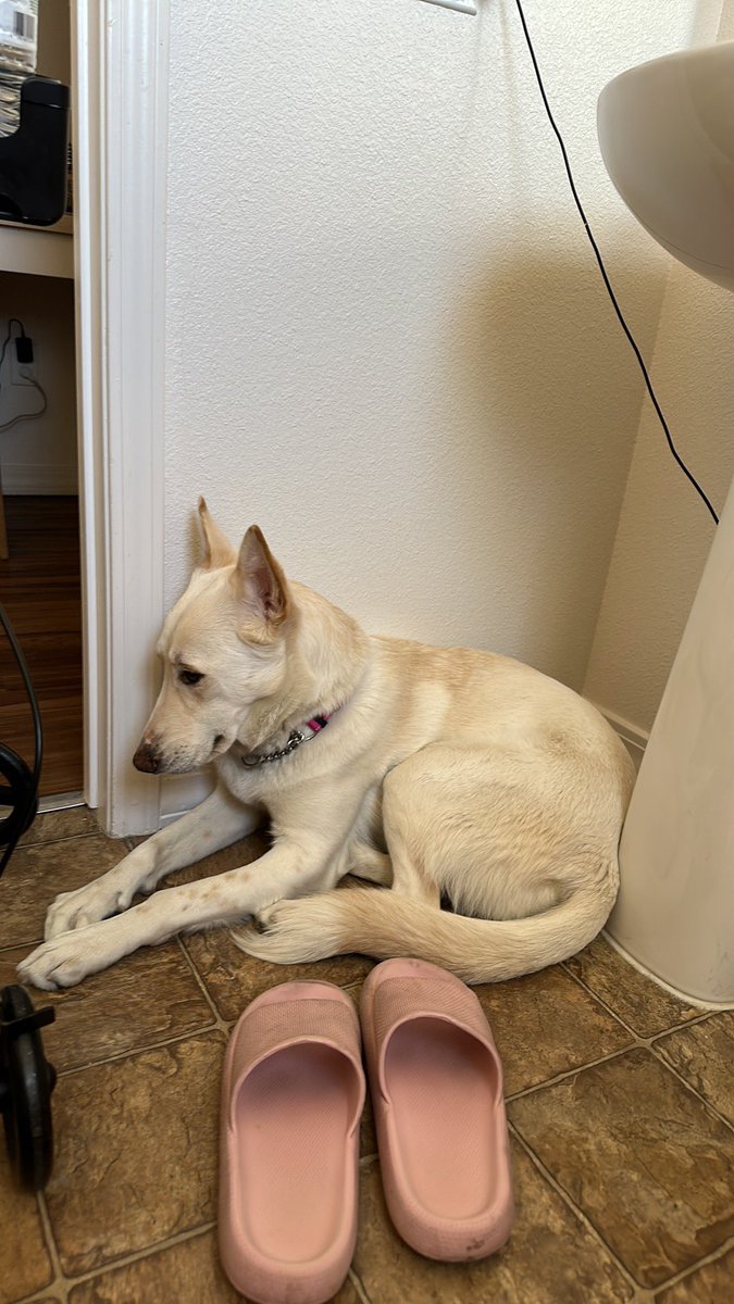 Goblin Mode Mom tweet media