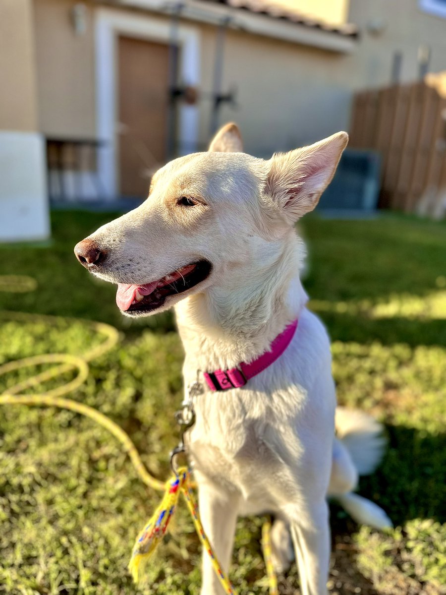 Goblin Mode Mom tweet media