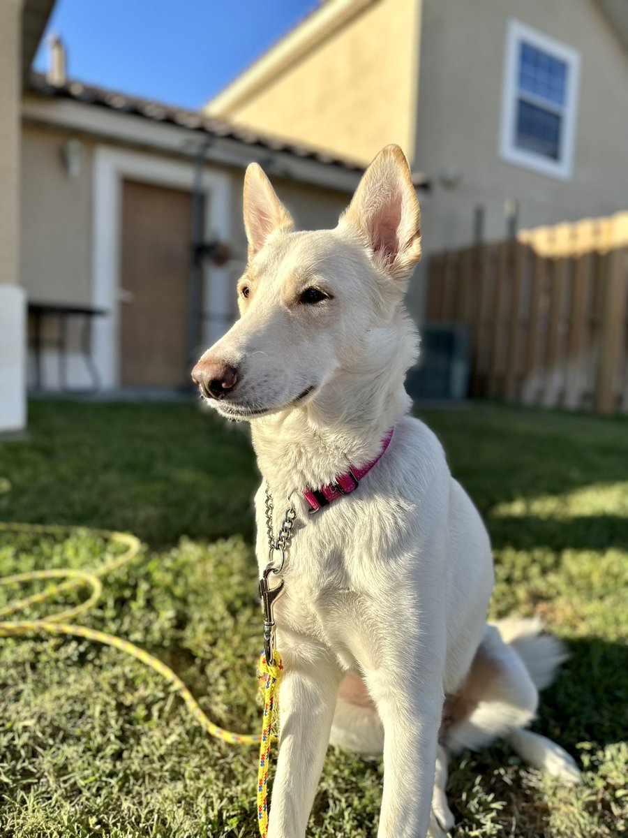 Goblin Mode Mom tweet media