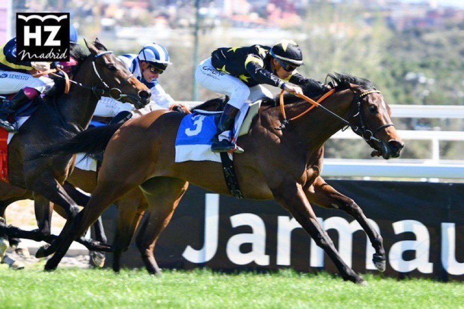 Sabemos que lo que más os gustaría es estar hoy montando en <a href="/HipodromoMadrid/">Hipódromo de La Zarzuela</a>, a nosotros también. Os vamos a echar de menos, <a href="/Olgaamoreno/">Olga Moreno</a> y <a href="/RNValle2/">R.N.Valle</a>. 
Mucho ánimo con vuestra recuperación. ¡Nos vemos pronto!
🏇👏💪