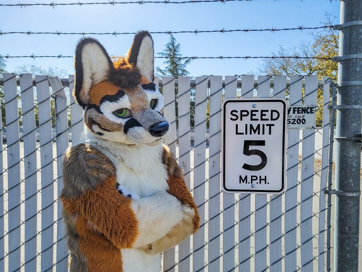 WyattFoxface's tweet photo. Be animal. Break rules 😎
#BadFox #BornWild #Ungovernable
📷@JayTheGryphon https://t.co/QXTRJ9AVTx