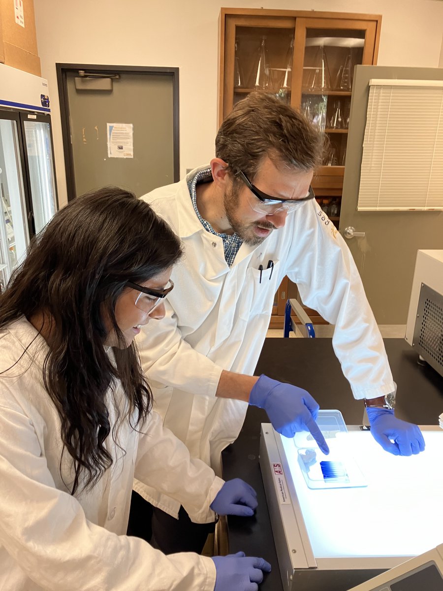 LettsScience's tweet photo. Absolutely thrilled that my fabulous @BMCDB student @ayalahemaria has been recognized as a #GilliamFellows, looking forward to continuing our scientific journey together! @HHMINEWS @ucdavis @CAMPOSUCDavis1 https://t.co/ANZG7PFFhE