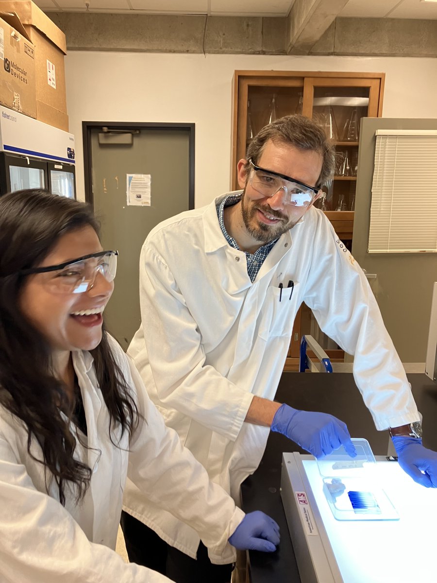 LettsScience's tweet photo. Absolutely thrilled that my fabulous @BMCDB student @ayalahemaria has been recognized as a #GilliamFellows, looking forward to continuing our scientific journey together! @HHMINEWS @ucdavis @CAMPOSUCDavis1 https://t.co/ANZG7PFFhE