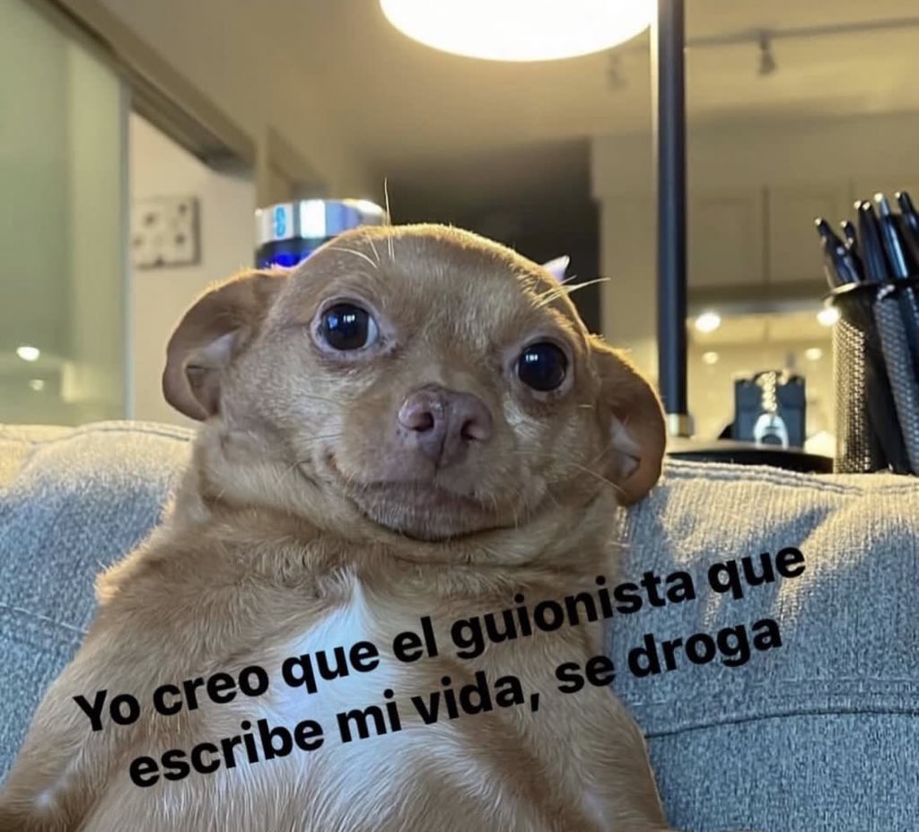 skereunpesado's tweet photo. https://t.co/AEhIWXxpQq