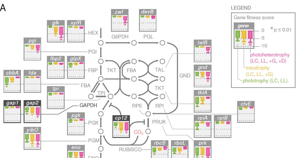 The Plant Cell tweet media