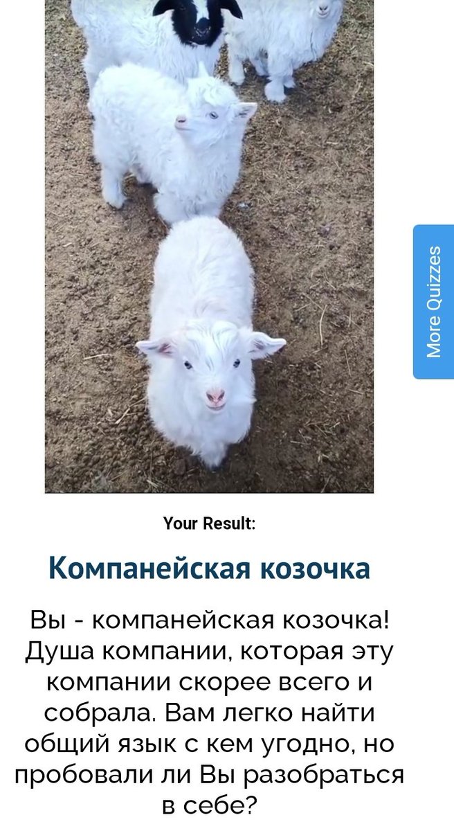 hibiscus_te's tweet photo. вот такая я коза https://t.co/AqRRIpCJji