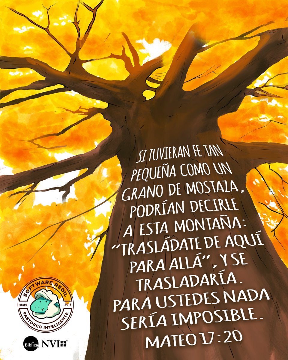 santabiblianvi's tweet photo. ( . 🌱 🌿 🌳 )
#Evangelio #Jesus #versiculosbiblicos #Cristo #IlustracionBiblica #Cristianos #fe #Evangelio #inspiracion #VersículoDiario #HaciendoViralLaPalabraDeDios #SoftwareRedil #BiblicaLA #BibliaNVI #LaBiblia https://t.co/F6UAz4Tk2t