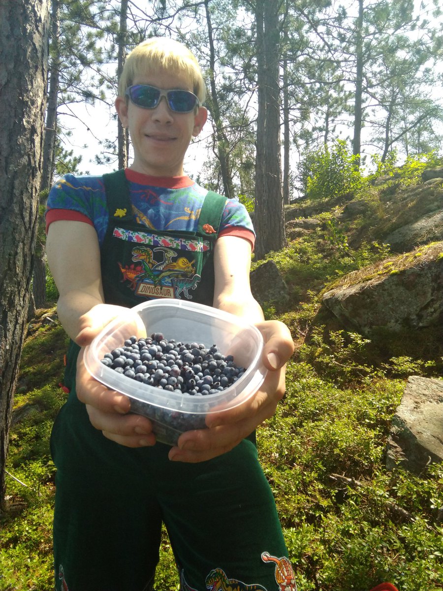 We successfully picked blueberries.