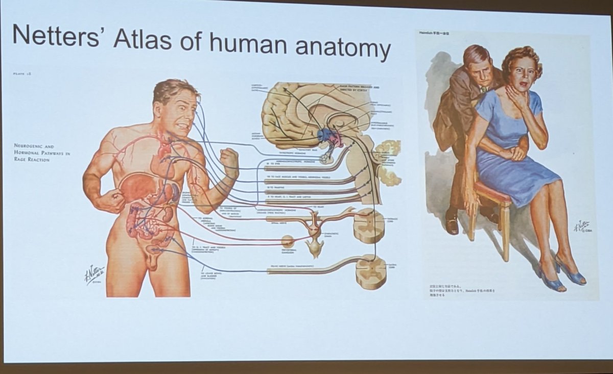 dr_michaelmarks's tweet photo. Kicking off final session #ISSTDR2023 @henryjdevries presents The Atlas of Queer Anatomy designed to challenge white, heteronormative narratives of the body seen in most textbooks https://t.co/fFAJUDRUtK