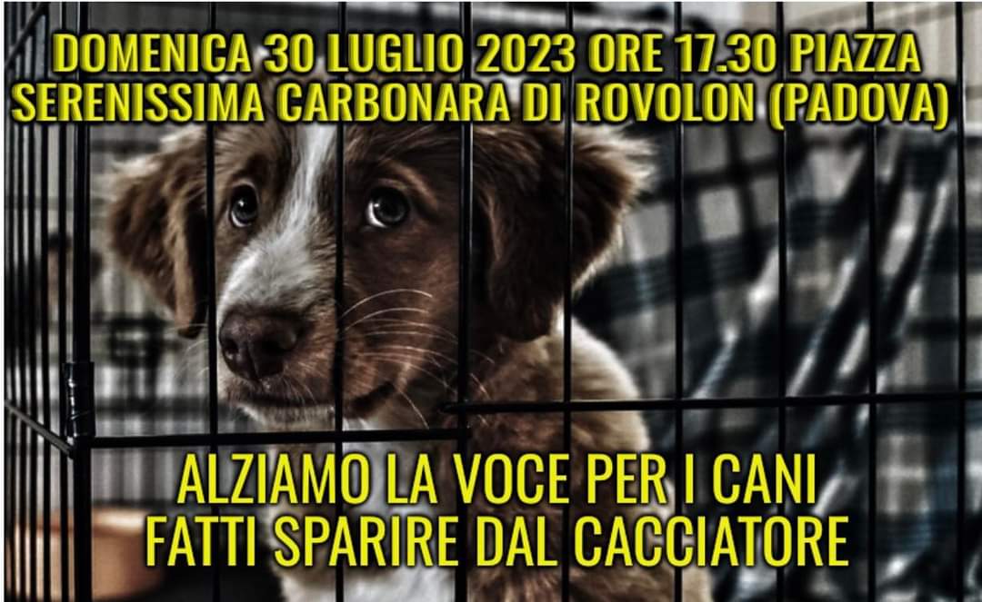 lastregamora's tweet photo. Dove sono finiti i cani riconsegnati al cacciatore e "fatti sparire"? Chiunque possa partecipi. Protesta pacifica, si possono portare anche gli animali 🐾
#diffondiamo https://t.co/VrSpWqowDH