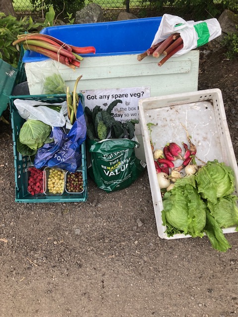 Stalls for @TAMS_Aberdeen on tomorrow. Thanks to @SlopefieldAA plotters for their contributions. #growyourown #allotment #slopefield #loveyourplot #community #communitygrowing