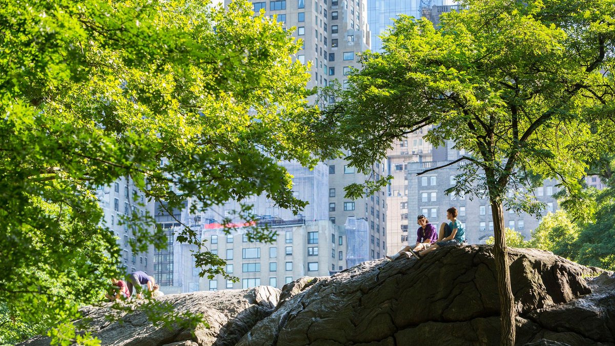 CentralParkNYC's tweet photo. Are you sinking your teeth into summer fun? 🦈
It's day 4 of #ParkWeek, and we think it's time for a little mid-summer check-in: https://t.co/KNyxnFYgF4